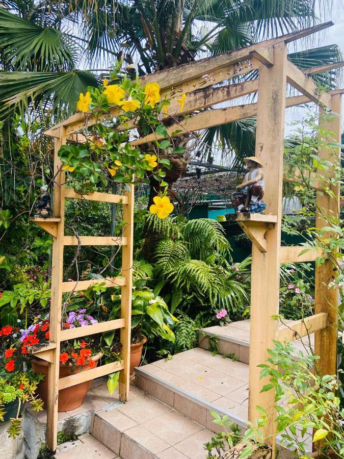 Chambres D'Hotes L'Orchidee Rose ซาลาซี ภายนอก รูปภาพ