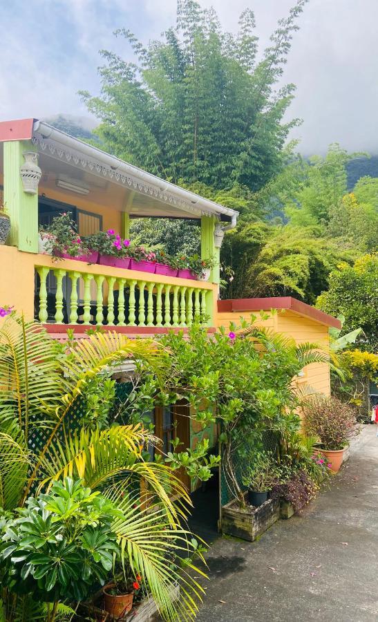Chambres D'Hotes L'Orchidee Rose ซาลาซี ภายนอก รูปภาพ
